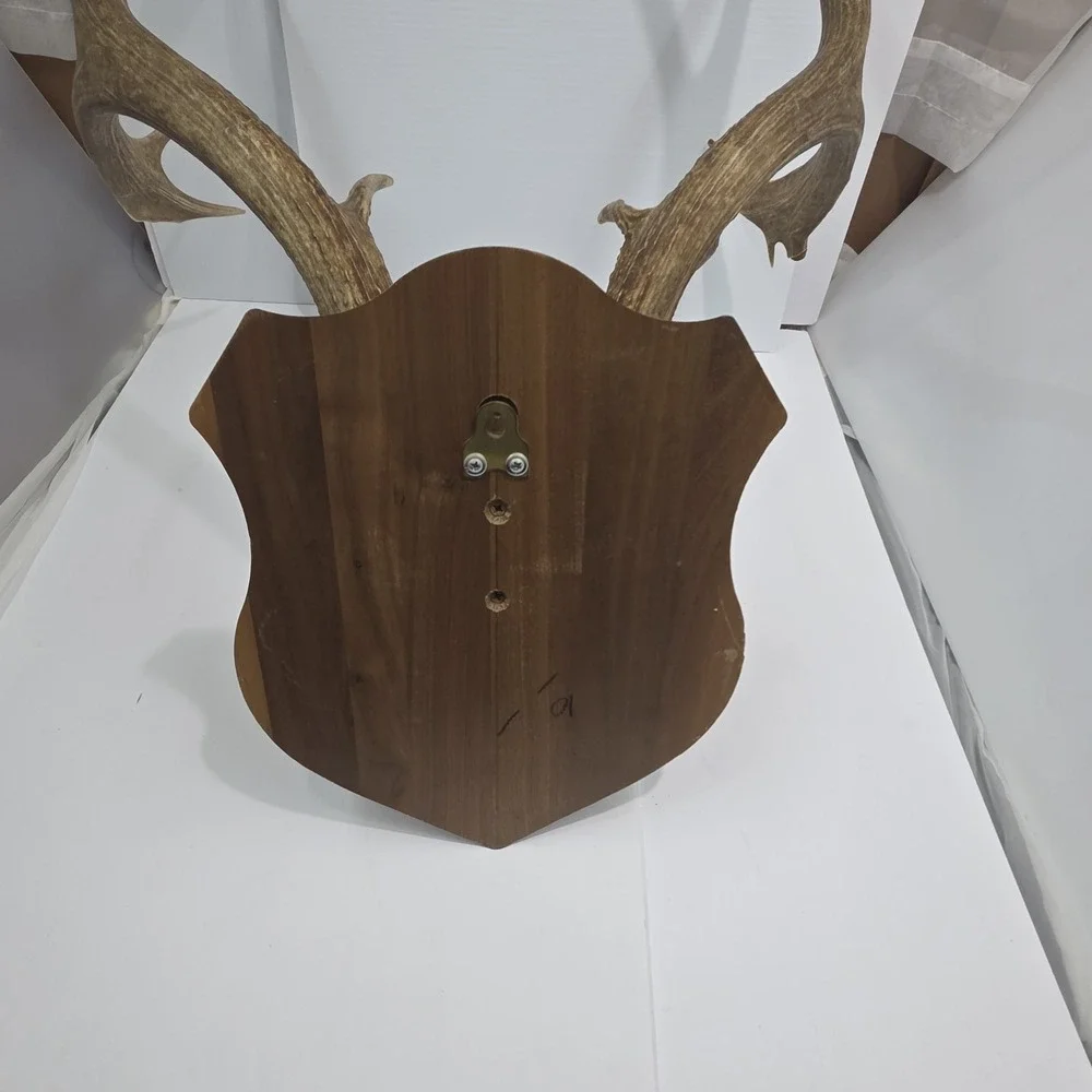 Vintage South Dakota Mule Deer Antler Taxidermy Mount 10 Point 22